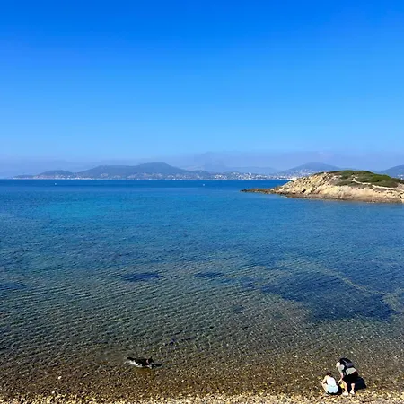 Port De Et Piscine * Hyères